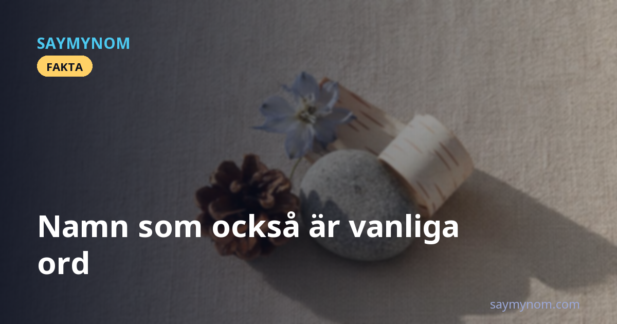 Namn som också är vanliga ord